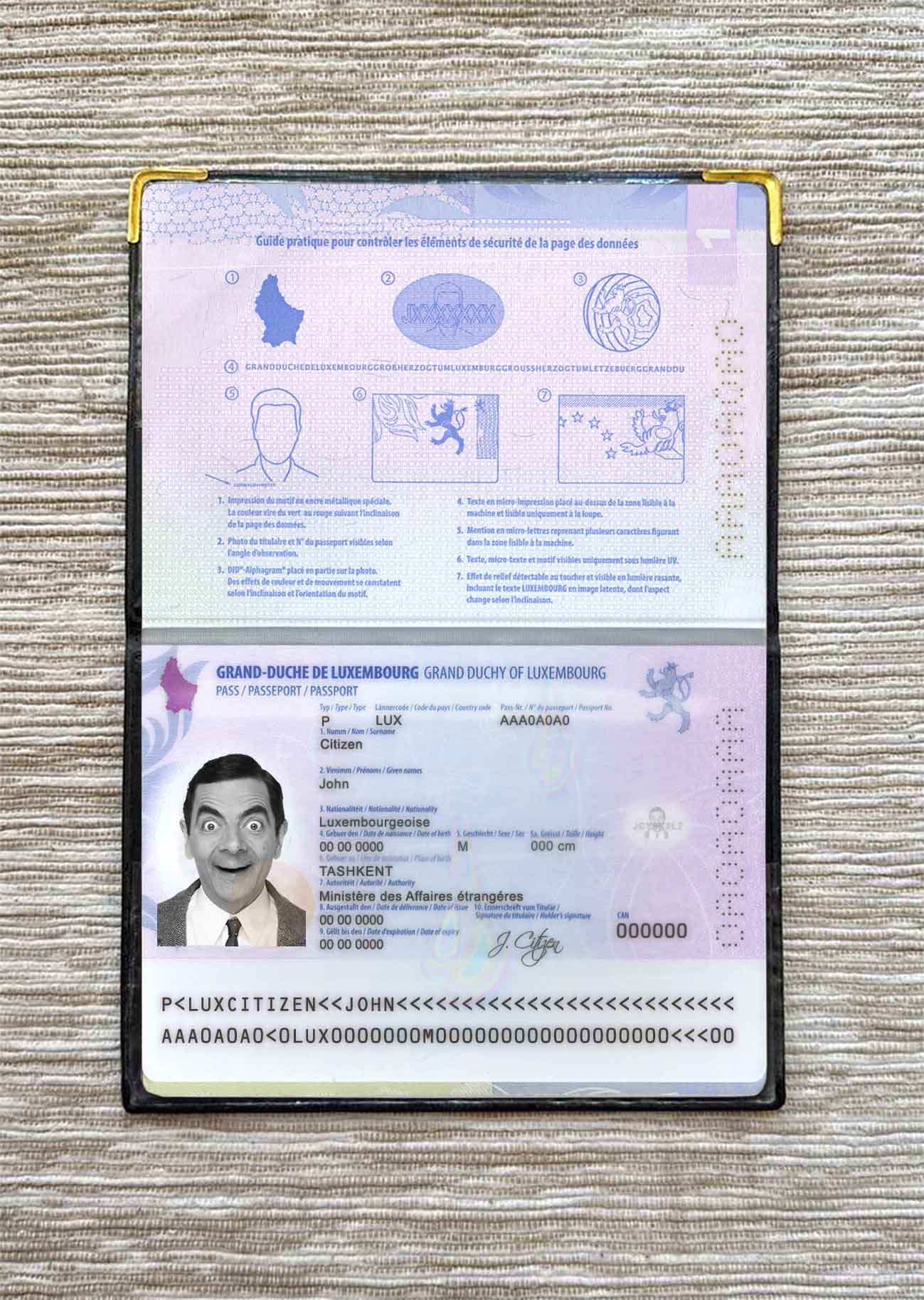 Luxembourg passport photo look PSD template